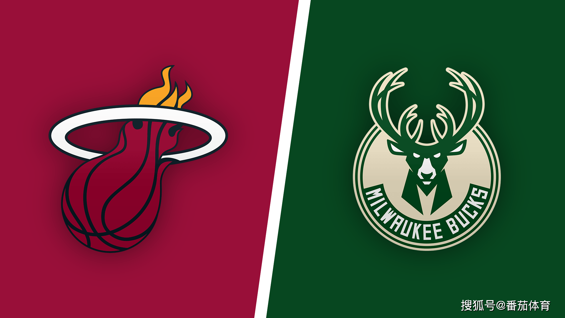 内维尔指出 内维尔指出